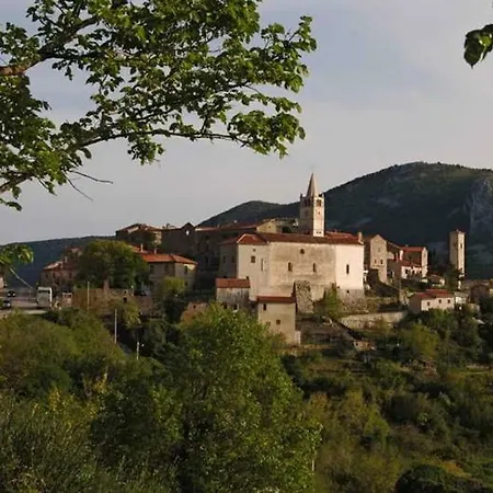 Vita * Krsan