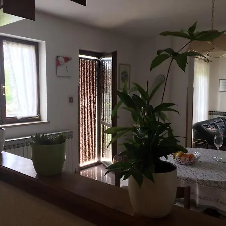 Apartment Vita